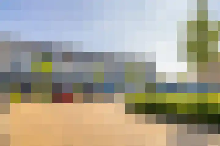 Begoniatuin 287 Pijnacker thumbnail 30