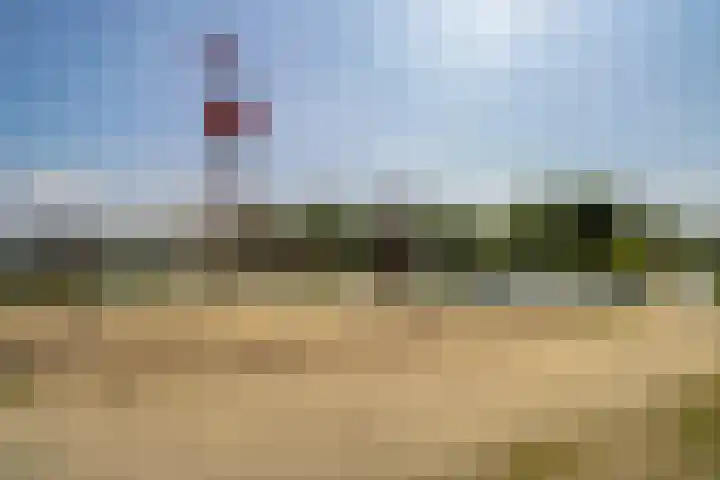 Begoniatuin 287 Pijnacker thumbnail 32