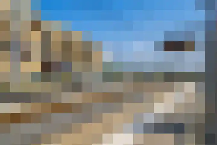 Begoniatuin 287 Pijnacker thumbnail 33