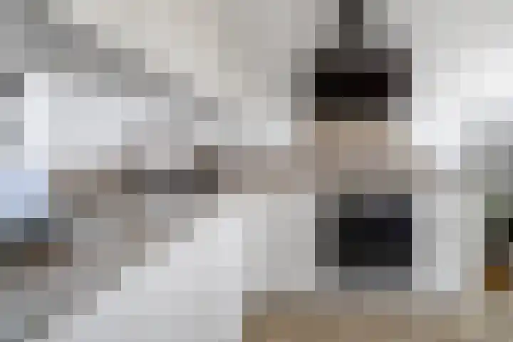 Begoniatuin 287 Pijnacker thumbnail 5