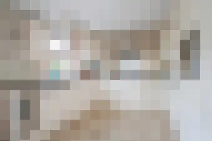 Behrenslijn 19 Zoetermeer thumbnail 14