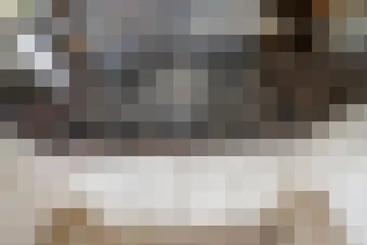 Behrenslijn 19 Zoetermeer thumbnail 15
