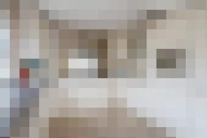 Behrenslijn 19 Zoetermeer thumbnail 16