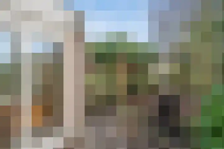 Behrenslijn 19 Zoetermeer thumbnail 30