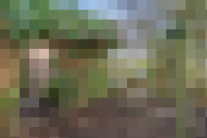 Behrenslijn 19 Zoetermeer thumbnail 31