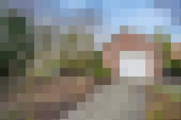 Behrenslijn 19 Zoetermeer thumbnail 45