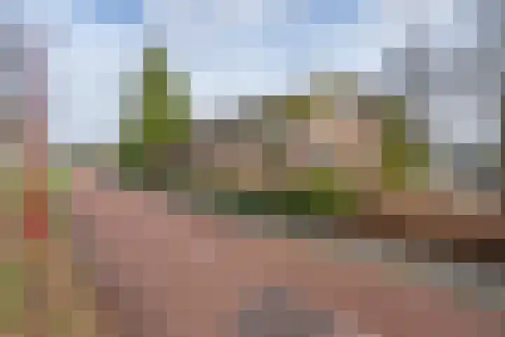 Behrenslijn 19 Zoetermeer thumbnail 46