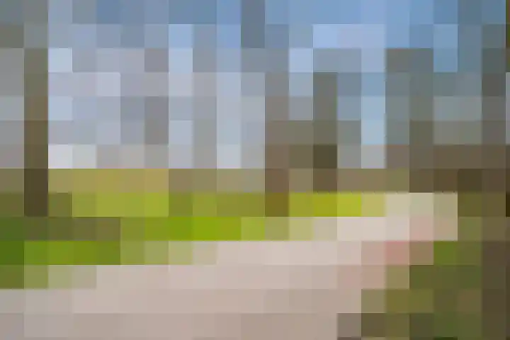Behrenslijn 19 Zoetermeer thumbnail 48