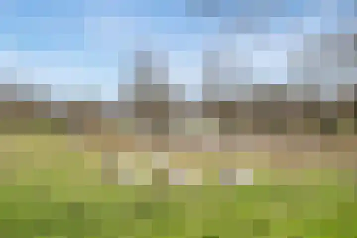 Behrenslijn 19 Zoetermeer thumbnail 49