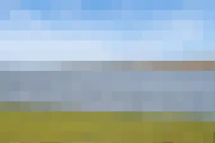 Behrenslijn 19 Zoetermeer thumbnail 51