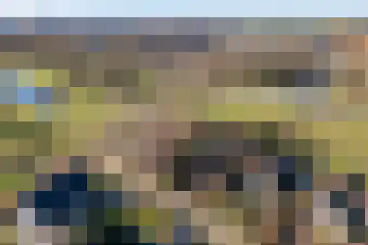 Behrenslijn 19 Zoetermeer thumbnail 52