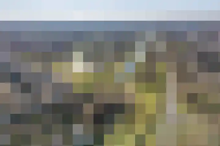 Behrenslijn 19 Zoetermeer thumbnail 53