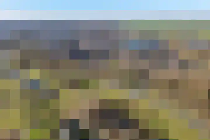 Behrenslijn 19 Zoetermeer thumbnail 54