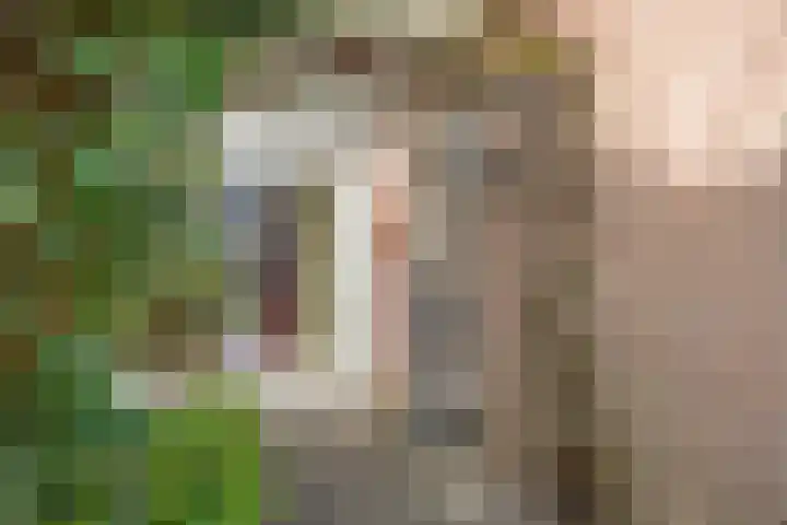 Behrenslijn 19 Zoetermeer thumbnail 7