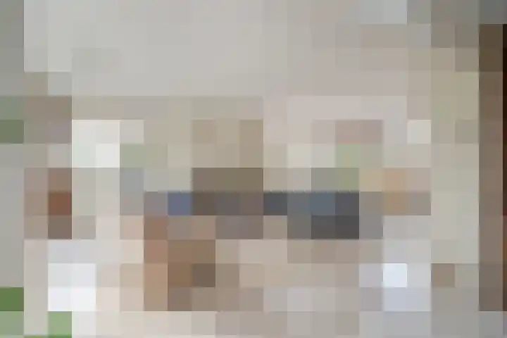 Behrenslijn 19 Zoetermeer thumbnail 9