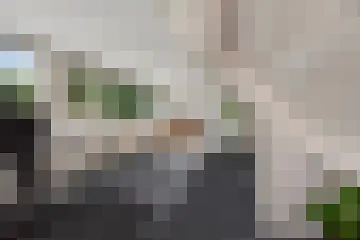 Behrenslijn 7 Zoetermeer thumbnail 24