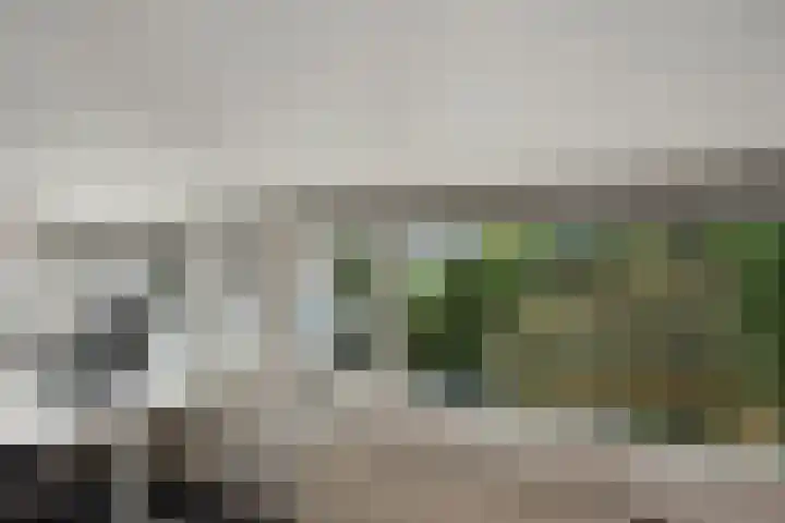 Behrenslijn 7 Zoetermeer thumbnail 25