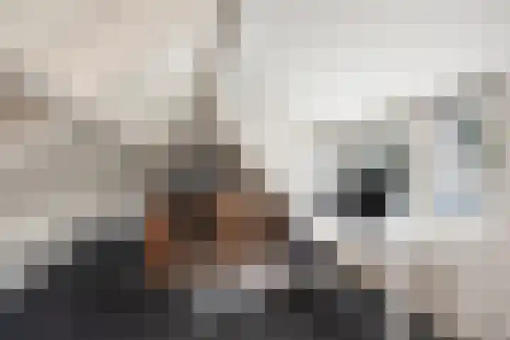 Behrenslijn 7 Zoetermeer thumbnail 27