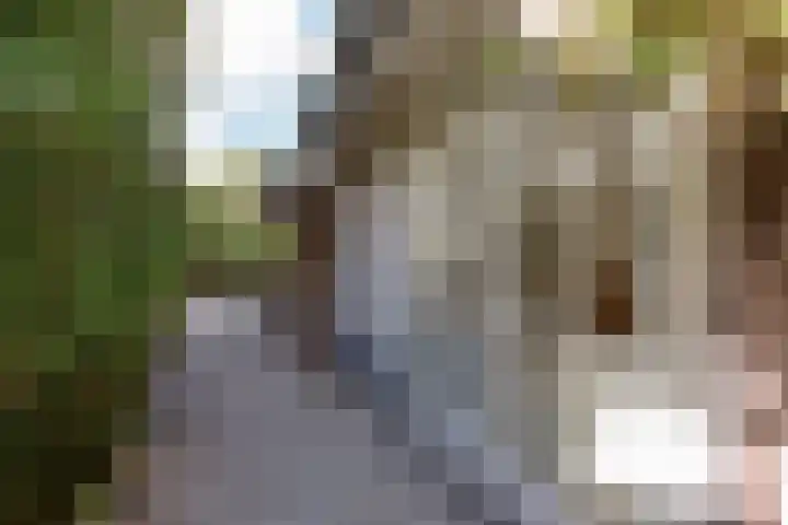 Behrenslijn 7 Zoetermeer thumbnail 36