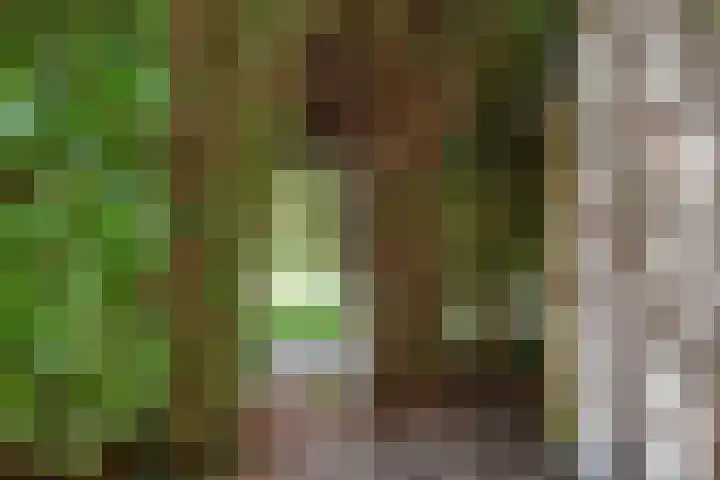 Behrenslijn 7 Zoetermeer thumbnail 39