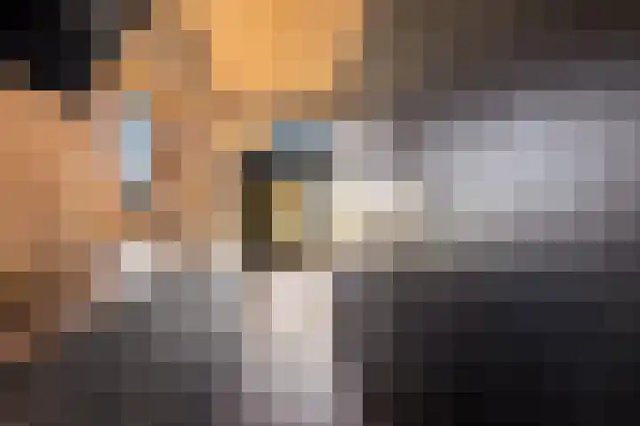 Behrenslijn 7 Zoetermeer thumbnail 46