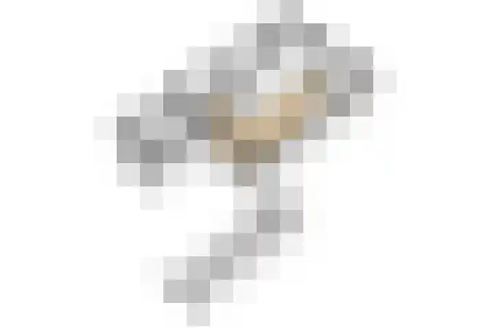 Behrenslijn 7 Zoetermeer thumbnail 5