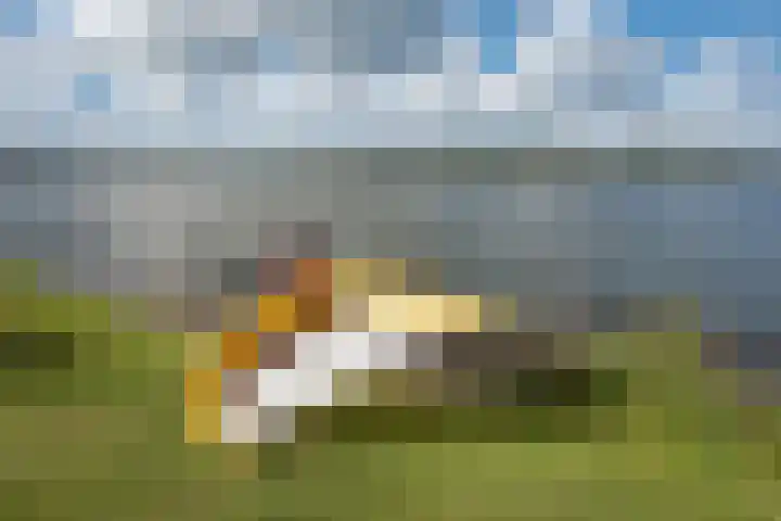 Behrenslijn 7 Zoetermeer thumbnail 57
