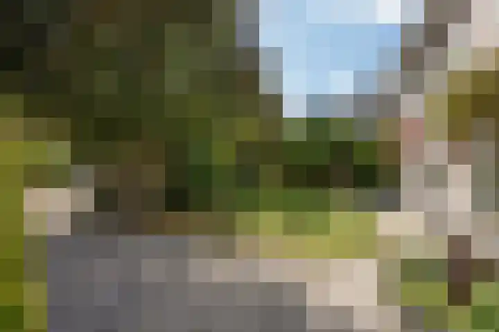 Behrenslijn 7 Zoetermeer thumbnail 6