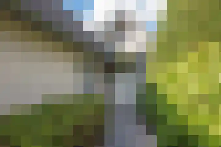 Behrenslijn 7 Zoetermeer thumbnail 7