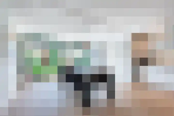Beiersgulden 1 Dronten thumbnail 17