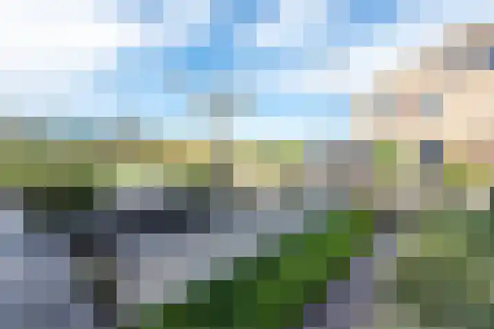 Beiersgulden 1 Dronten thumbnail 4