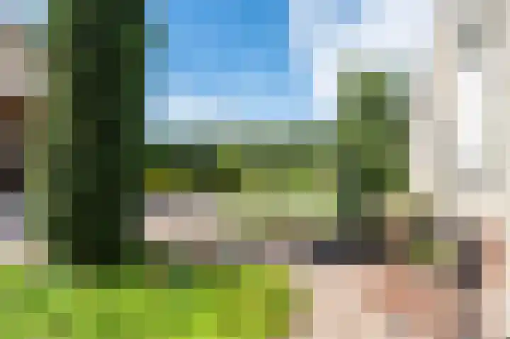 Beiersgulden 1 Dronten thumbnail 45