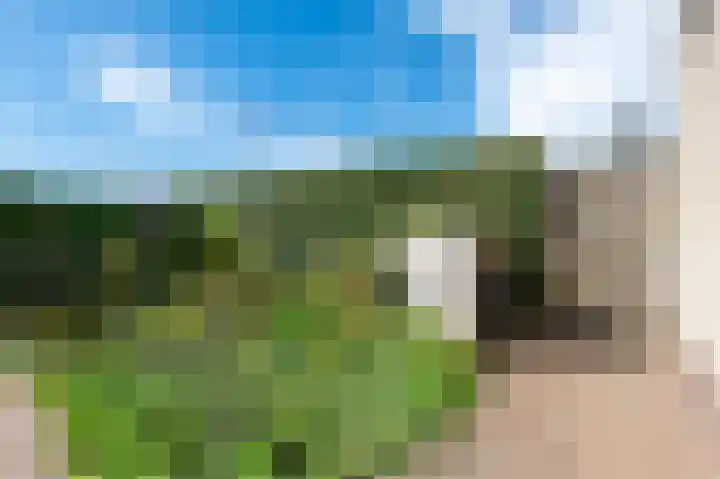 Beiersgulden 1 Dronten thumbnail 50