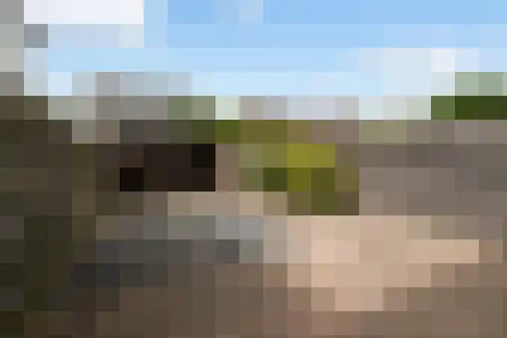 Beiersgulden 83 Dronten thumbnail 18