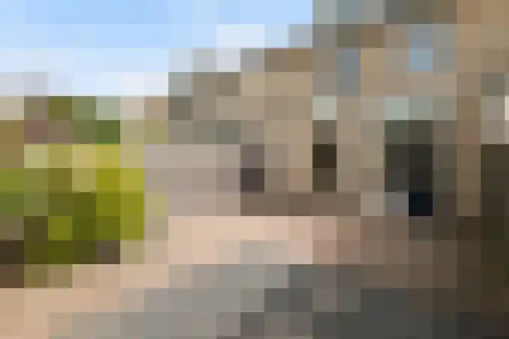 Beiersgulden 83 Dronten thumbnail 20