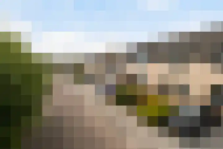 Beiersgulden 83 Dronten thumbnail 23