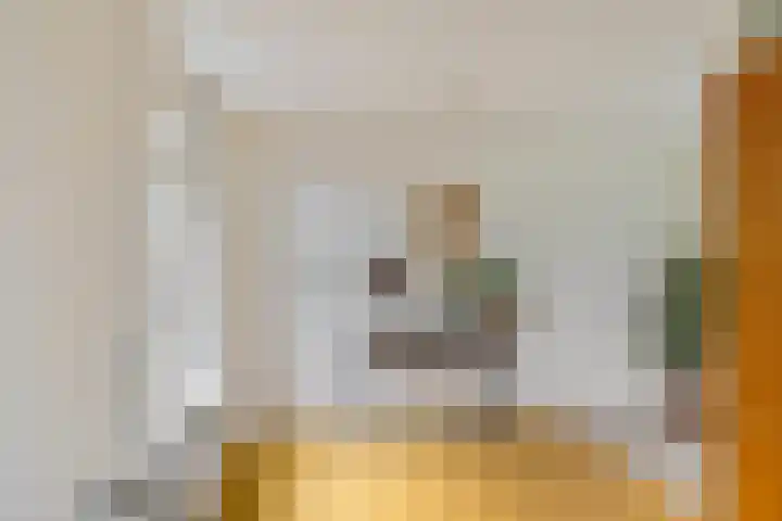 Beijumerweg 20 a Groningen thumbnail 14