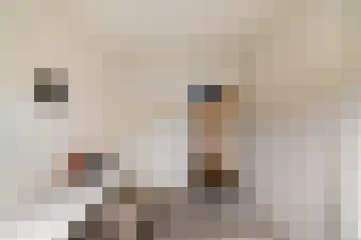 Beijumerweg 20 a Groningen thumbnail 17