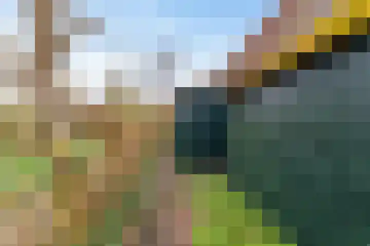 Beijumerweg 20 a Groningen thumbnail 25