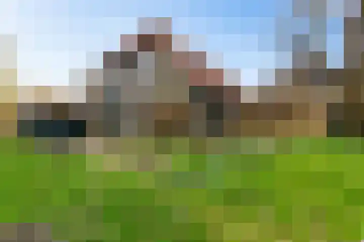 Beijumerweg 20 a Groningen thumbnail 26