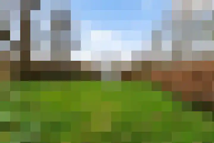 Beijumerweg 20 a Groningen thumbnail 28