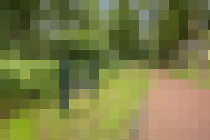 Beilerstraat 231 Assen thumbnail 37