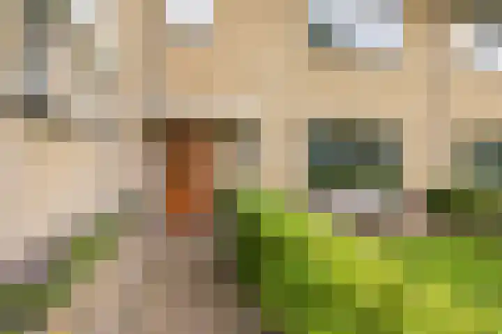 Beilerstraat 231 Assen thumbnail 4
