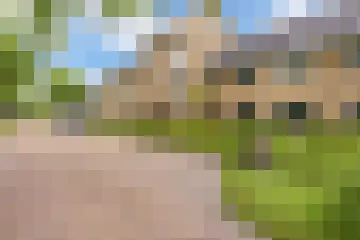 Beilerstraat 231 Assen thumbnail 43