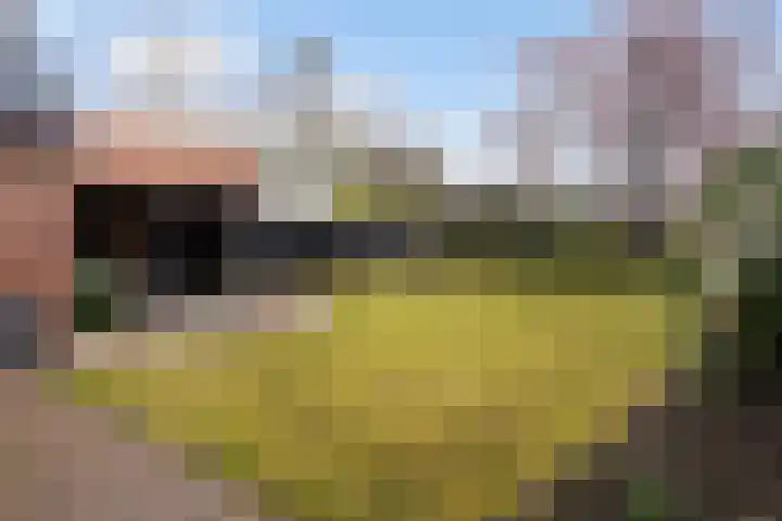 Beilerstraat 27 Westerbork thumbnail 37