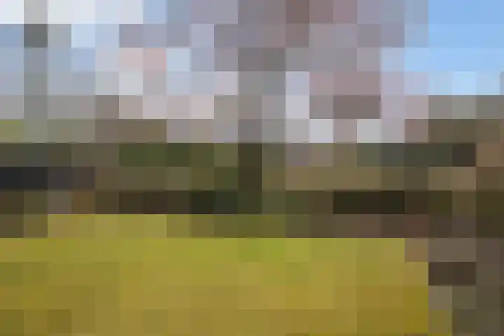 Beilerstraat 27 Westerbork thumbnail 40