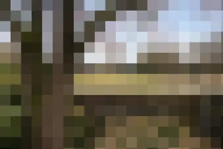 Beilerstraat 27 Westerbork thumbnail 41