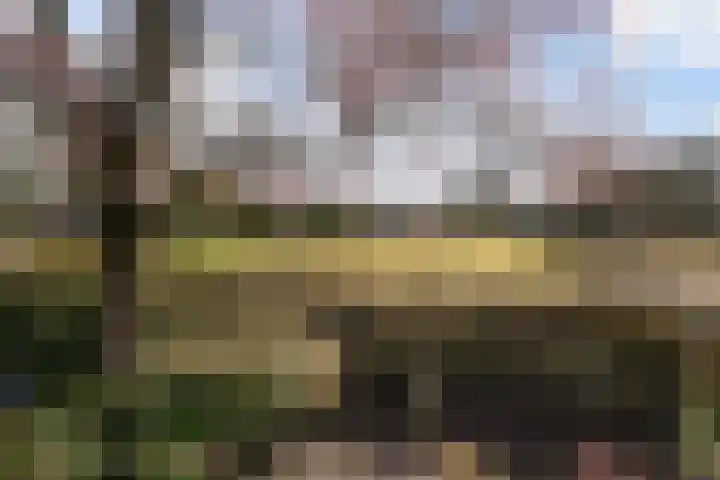 Beilerstraat 27 Westerbork thumbnail 42
