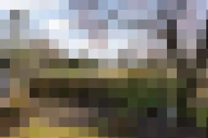 Beilerstraat 27 Westerbork thumbnail 43