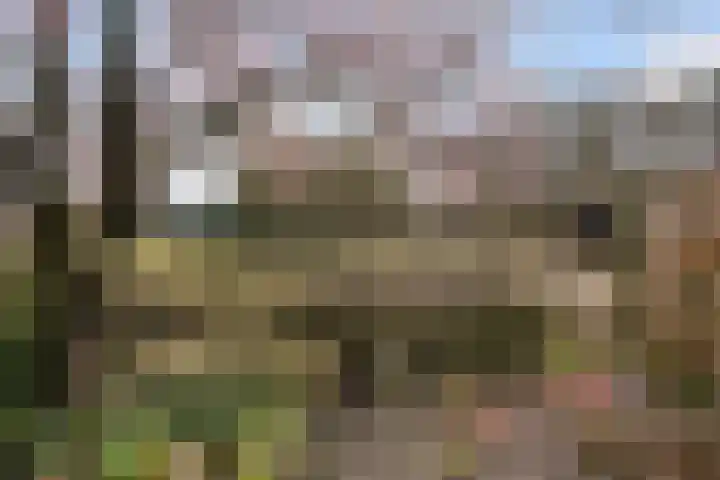 Beilerstraat 27 Westerbork thumbnail 44